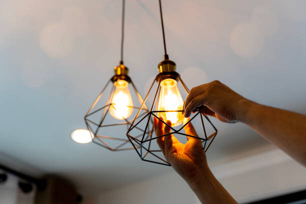 Best Electrician for Home Renovation  in North Prairie, WI
